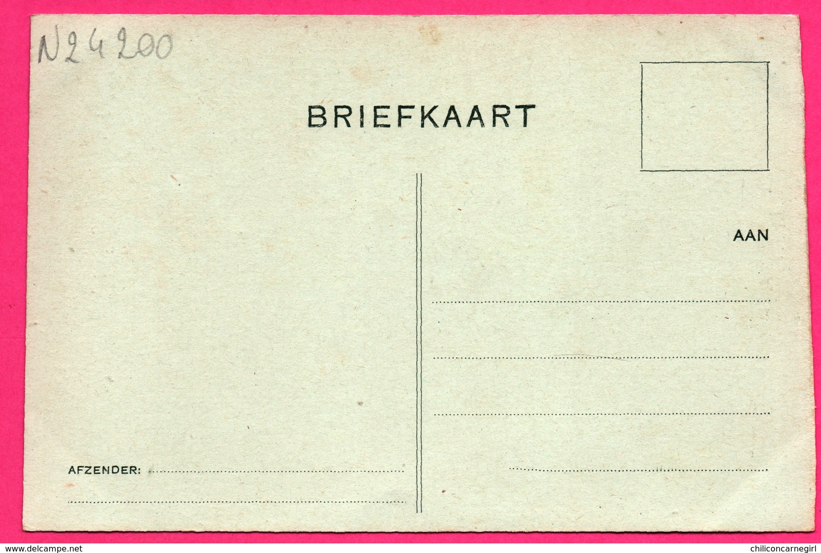 Vilsteren - Zeven Alleetjes Welke Zich Bevinden In Doolhof - ** Apparemment Carte Contrecollée - Fabrication Maison ** - Ommen