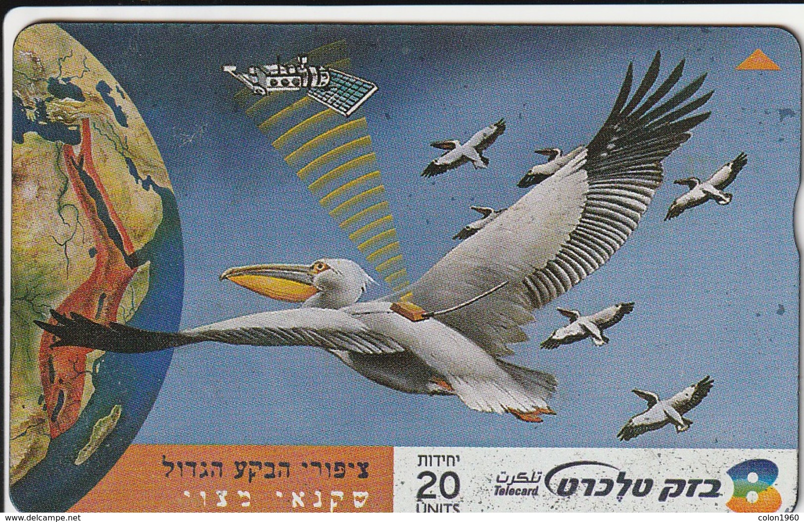 TARJETA TELEFONICA DE ISRAEL. Birds Of The Great Rift Valley, White Pelican. BZ370. (139) - Otros & Sin Clasificación