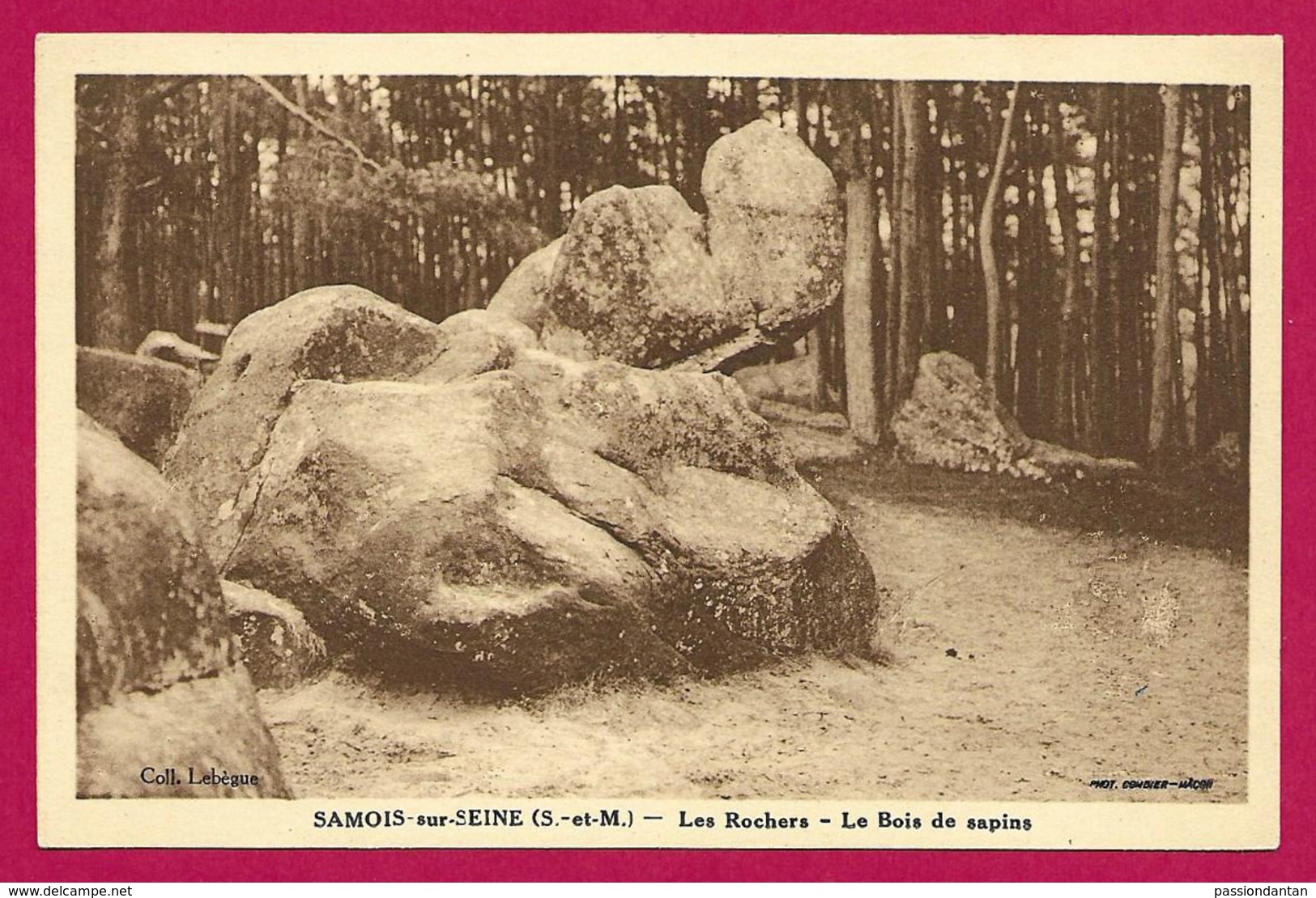 CPA Samois Sur Seine - Le Bois De Sapins - Les Rochers - Samois