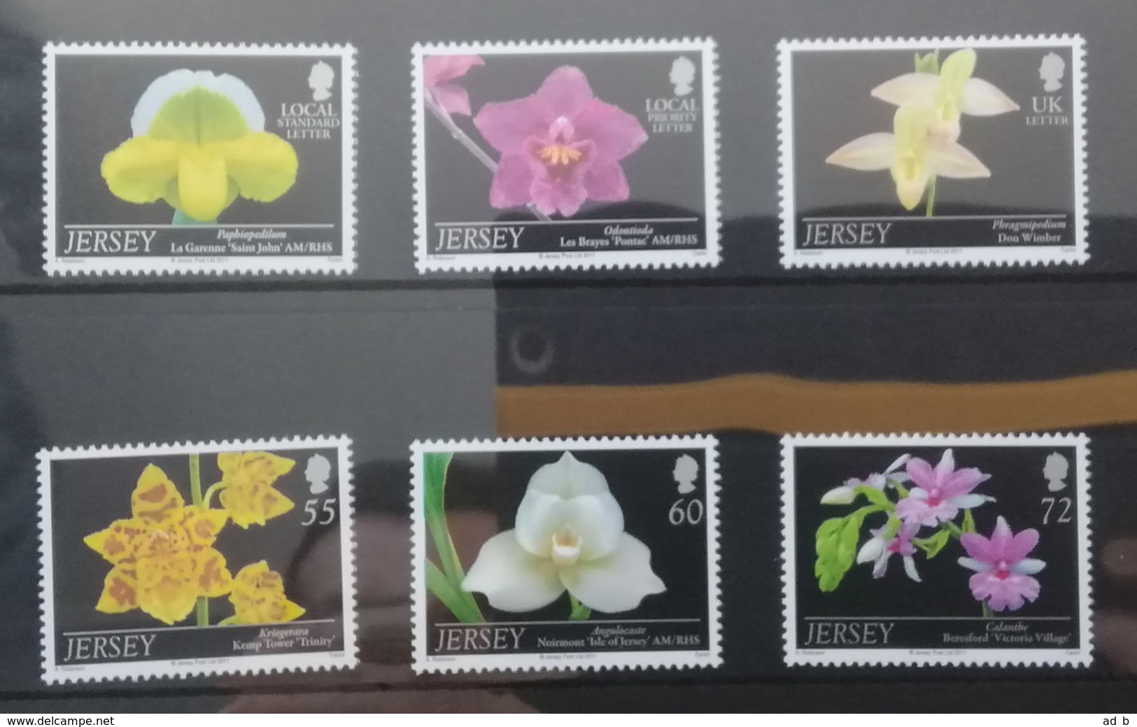 2011 Jersey. Orchids (VII) . Stamp Set & Miniature Sheet. Presentation Packs. MNH - Orchideen
