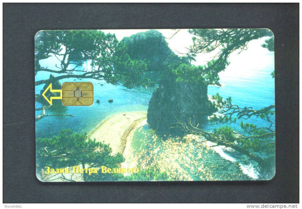 RUSSIA  -  Chip Phonecard As Scan - Russland