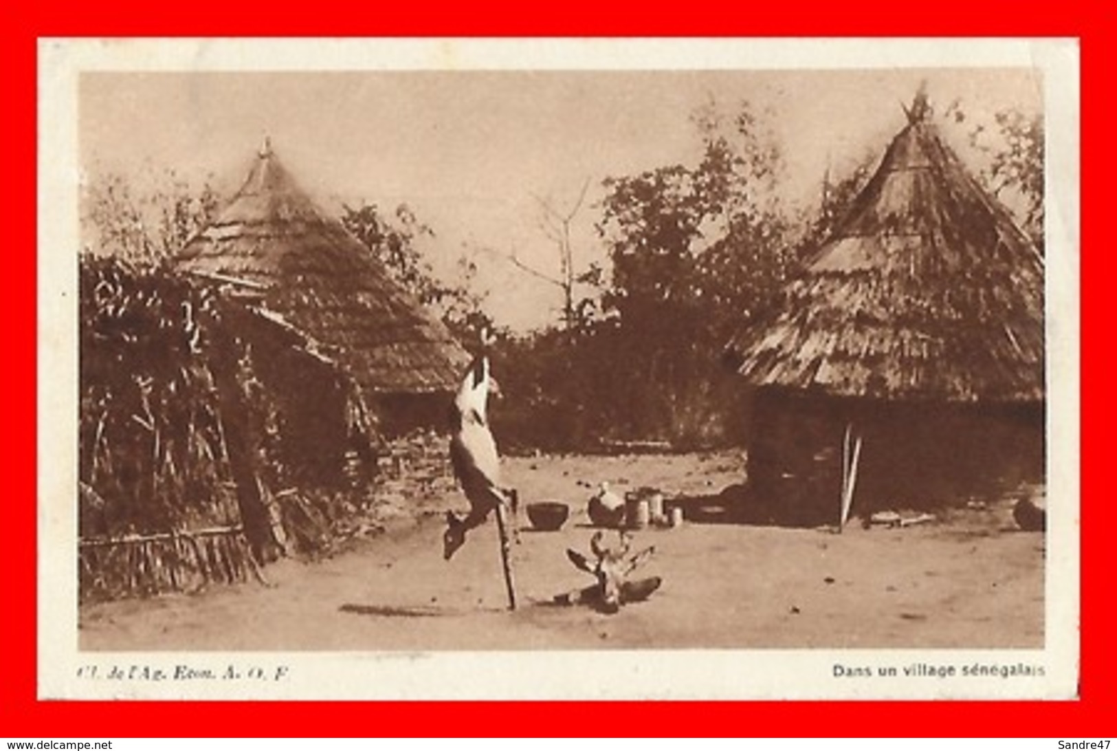 CPA  SENEGAL.  Le Gibier De La Chasse Dans Un Village Sénégalais...C488 - Sénégal