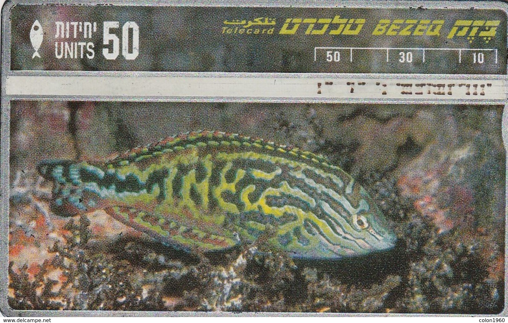 ISRAEL. Fish Of The Red Sea, Noniv Of Lines. BZ-154 (159) - Peces