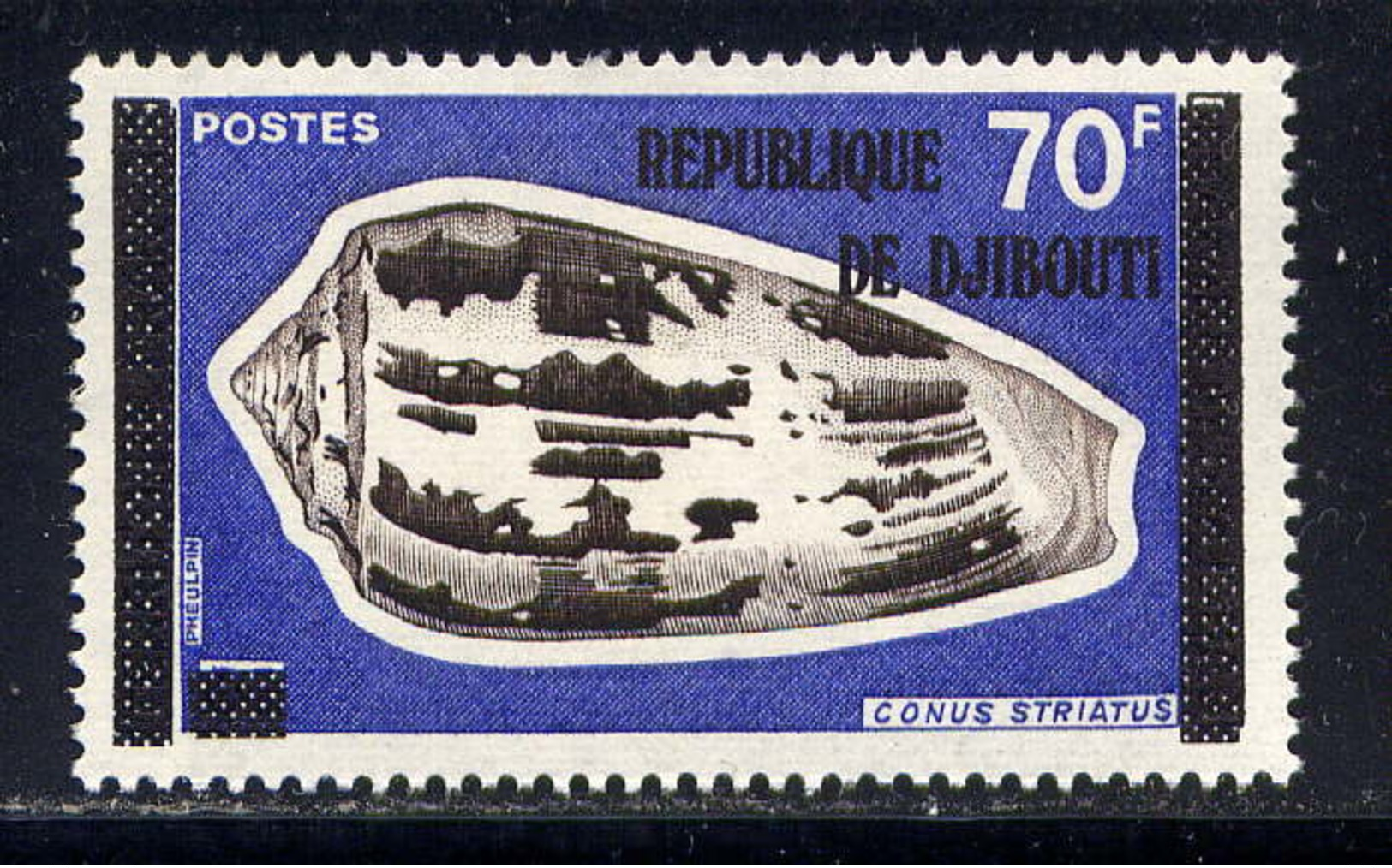 DJIBOUTI - 452** - CONUS STRIATUS - Djibouti (1977-...)