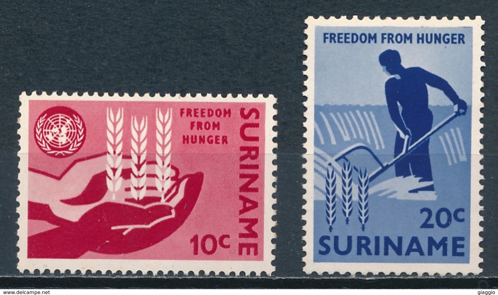 °°° SURINAME - Y&T N°381/82 - 1963 MNH °°° - Suriname