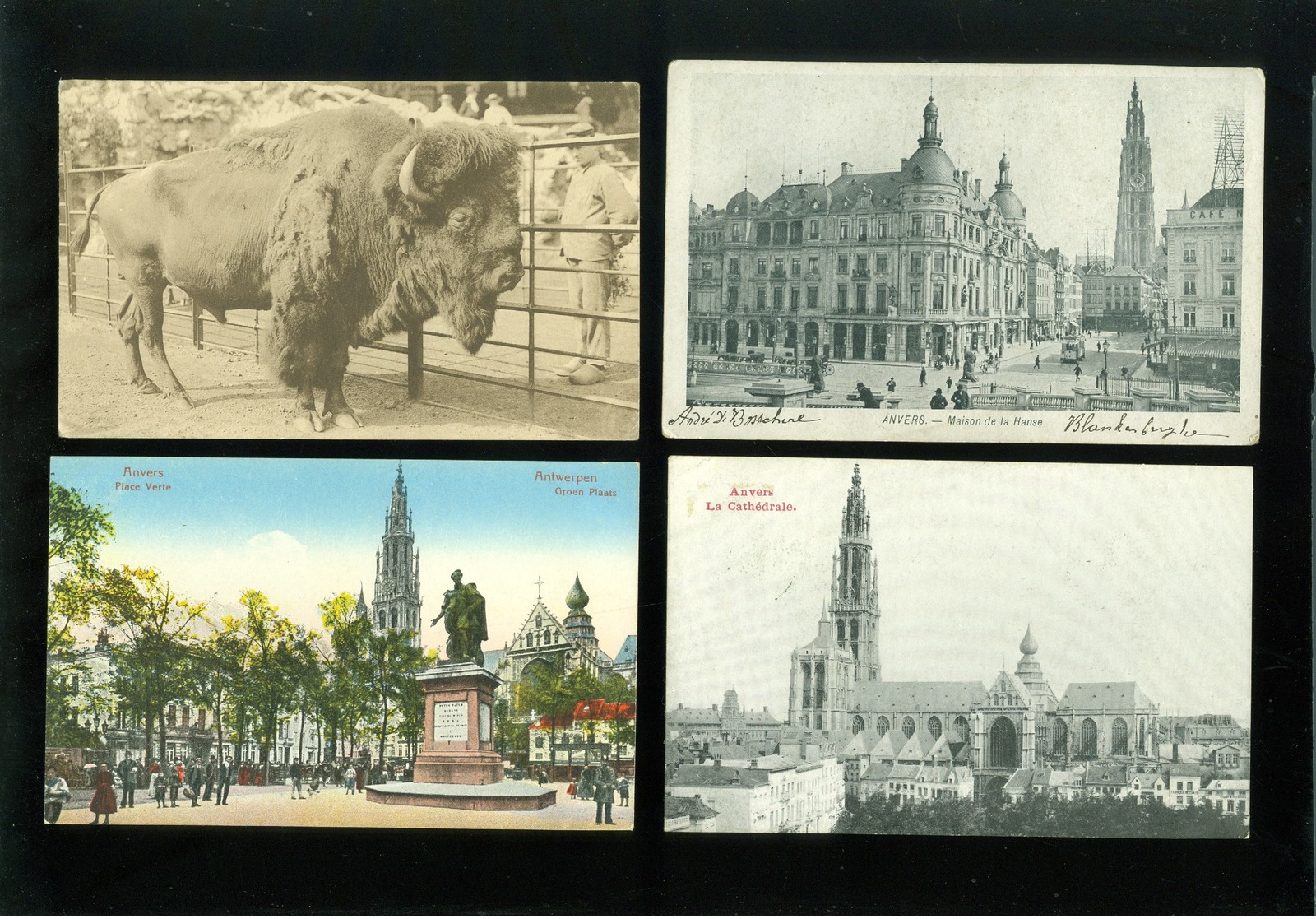 Beau lot de 60 cartes postales de Belgique  Anvers      Mooi lot van 60 postkaarten van België  Antwerpen - 60 scans