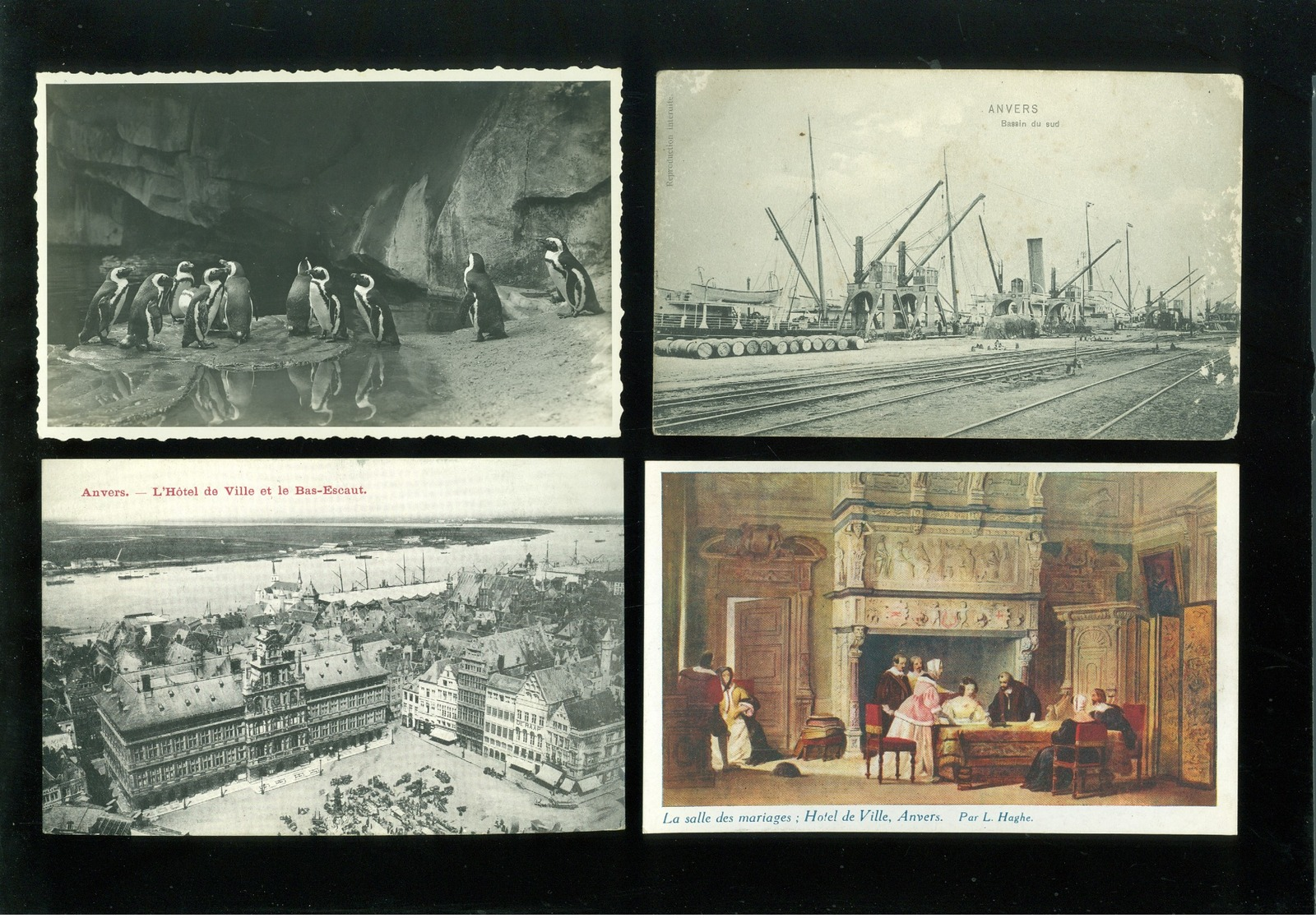 Beau lot de 60 cartes postales de Belgique  Anvers      Mooi lot van 60 postkaarten van België  Antwerpen - 60 scans