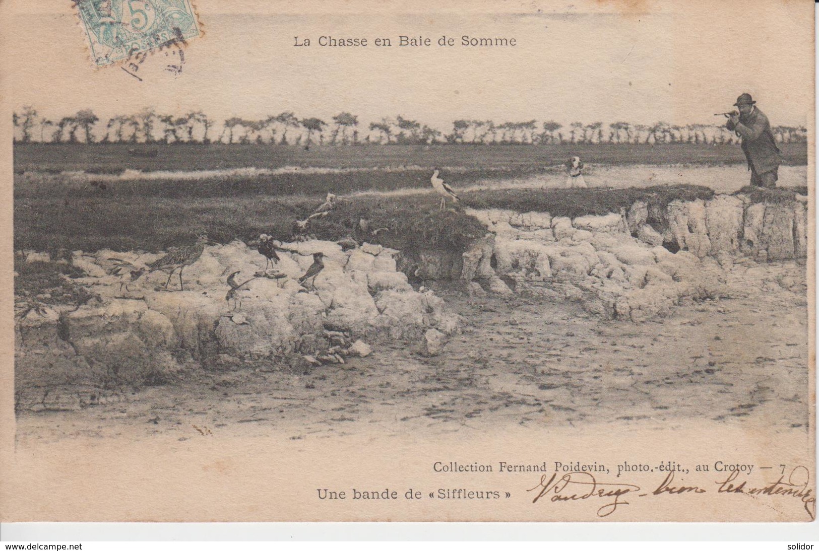 CHASSE - BAIE DE SOMME - BANDE DE SIFFLEURS - OISEAUX - Autres & Non Classés