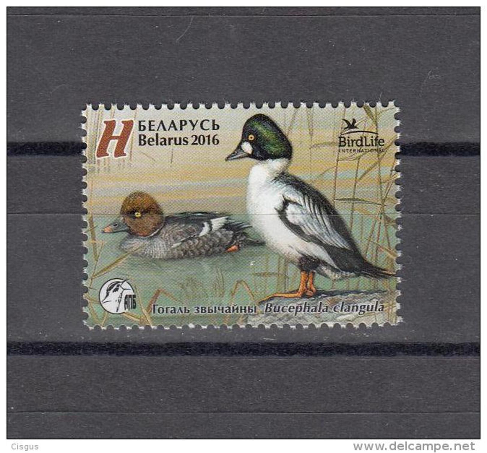 Belarus Weissrussland 2016 MNH ** Mi. Nr. 1108 Bird Of The Year Common Goldeneye - Belarus