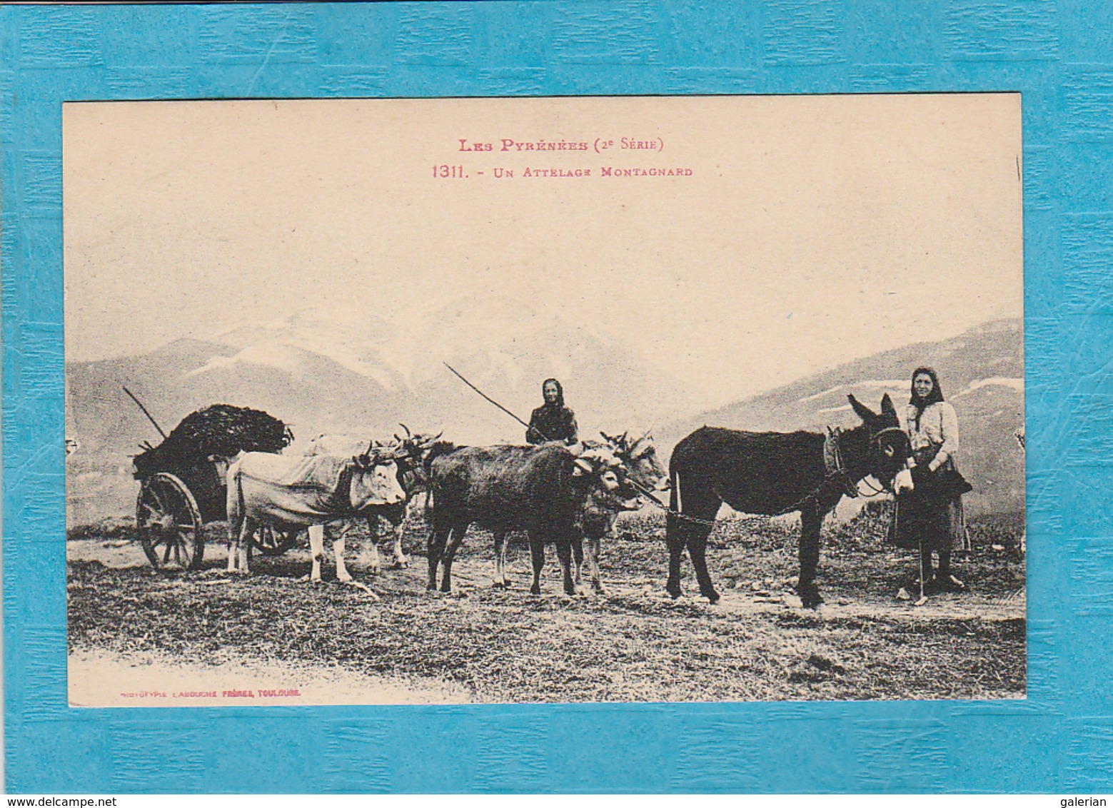 Les Pyrénées. - Un Attelage Montagnard, Bœufs Et Âne. - Autres & Non Classés