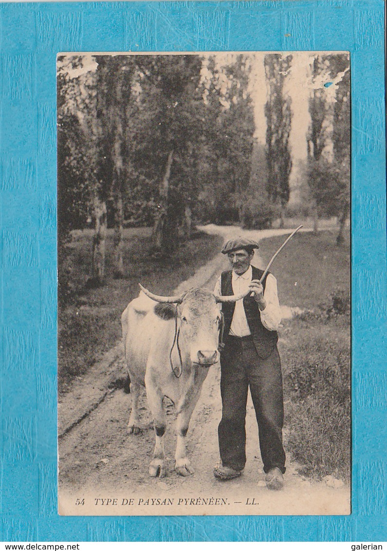 Type De Paysan Pyrénéen Avec Son Bœuf. - ( Hautes-Pyrénées ). - Autres & Non Classés