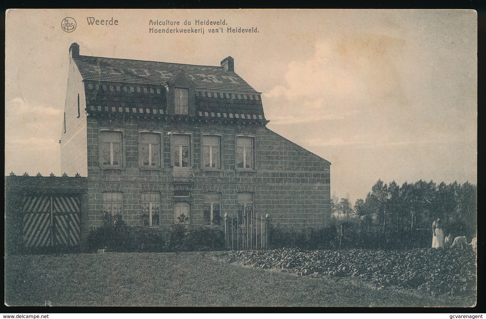 WEERDE  AVICULTURE DU HEIDEVELD - HOENDERKWEEKERIJ VEN 'T HEIDEVELD - Zemst