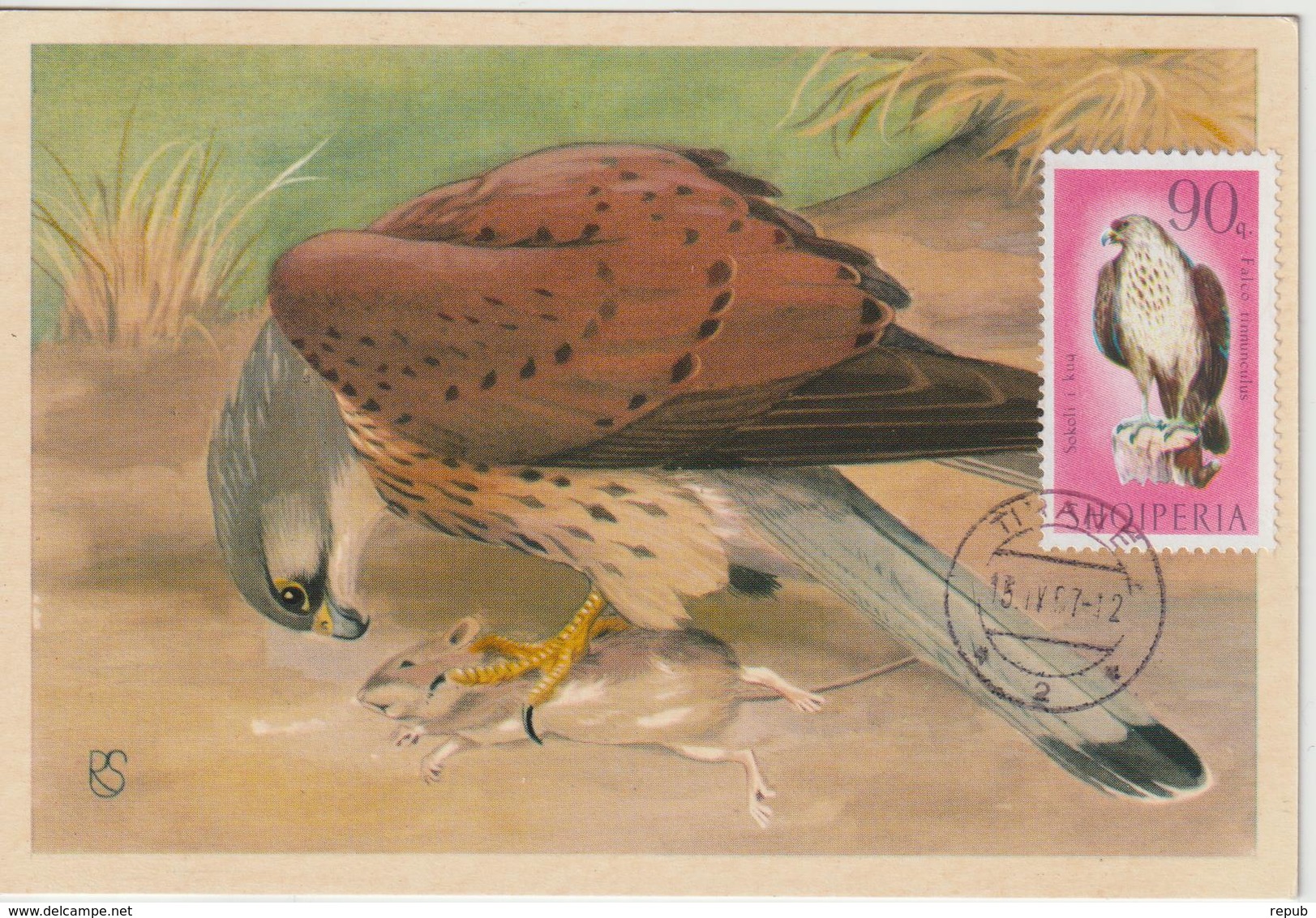 Albanie Carte Maximum Oiseaux 1966 Crécerelle 954 - Albanie