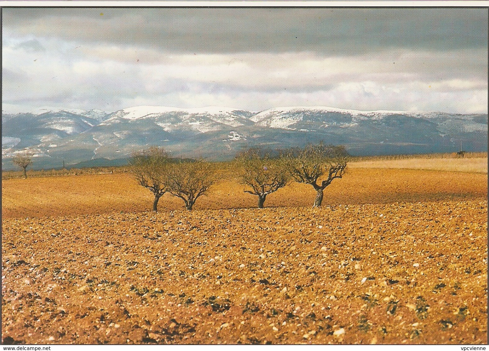 LABOURS AU PLATEAU DE VALENSOLE ET CHAINE DE LURE (04) PHOTO Pierre RICOU N° 14 - Autres & Non Classés