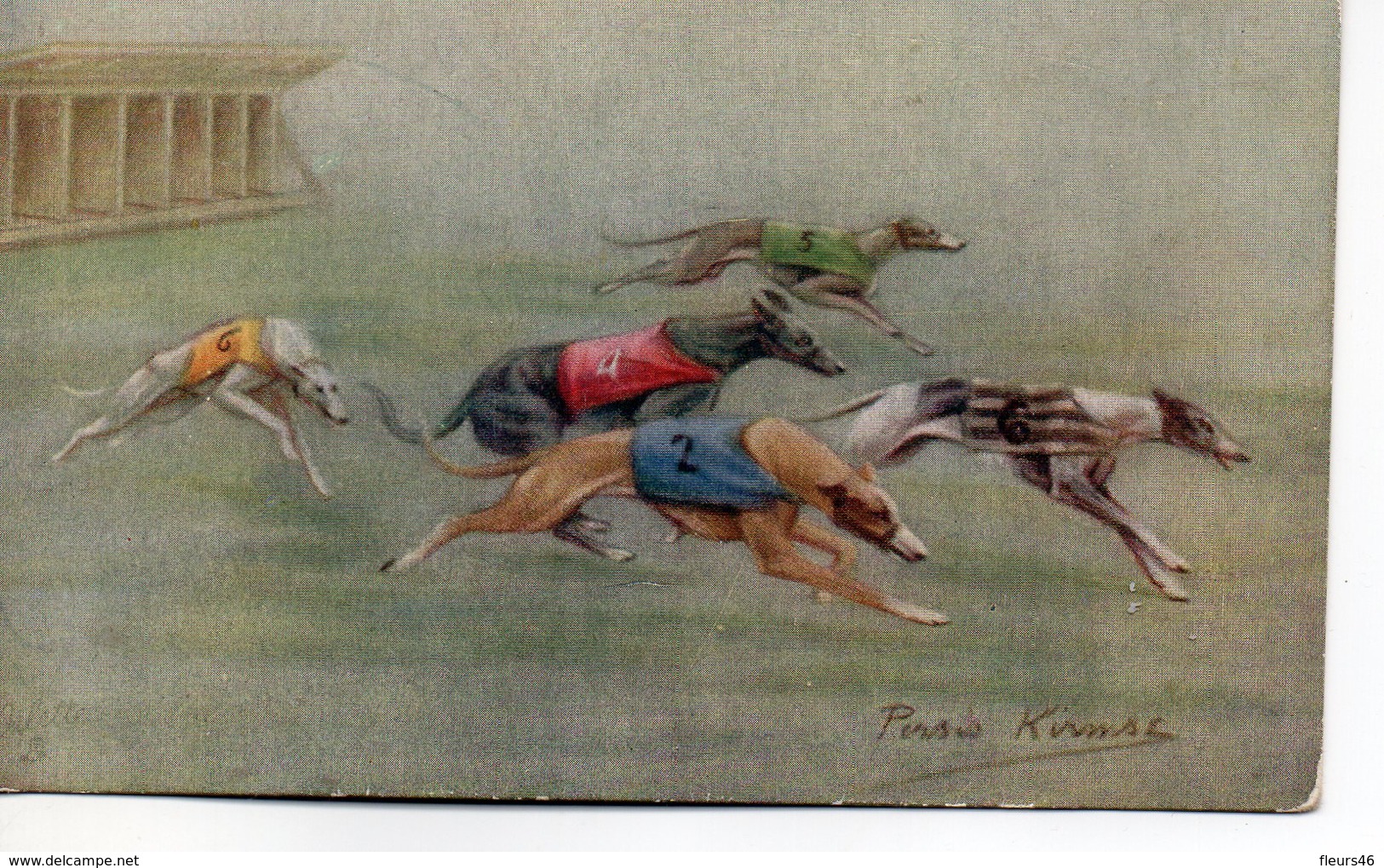 Belle Illustrée Signée Persis Kirmsz. LEVRIERS GREYHOUNDS EN COURSE - Chiens