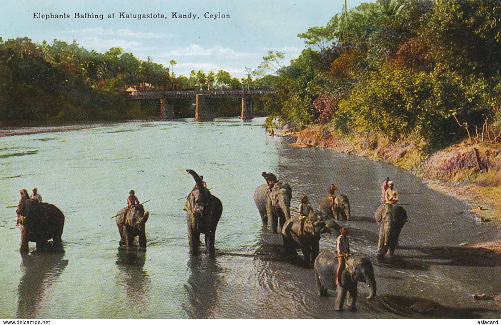 Elephant Bathing At Katugastota , Kandy, Ceylon  Edit John And Co - Sri Lanka (Ceylon)