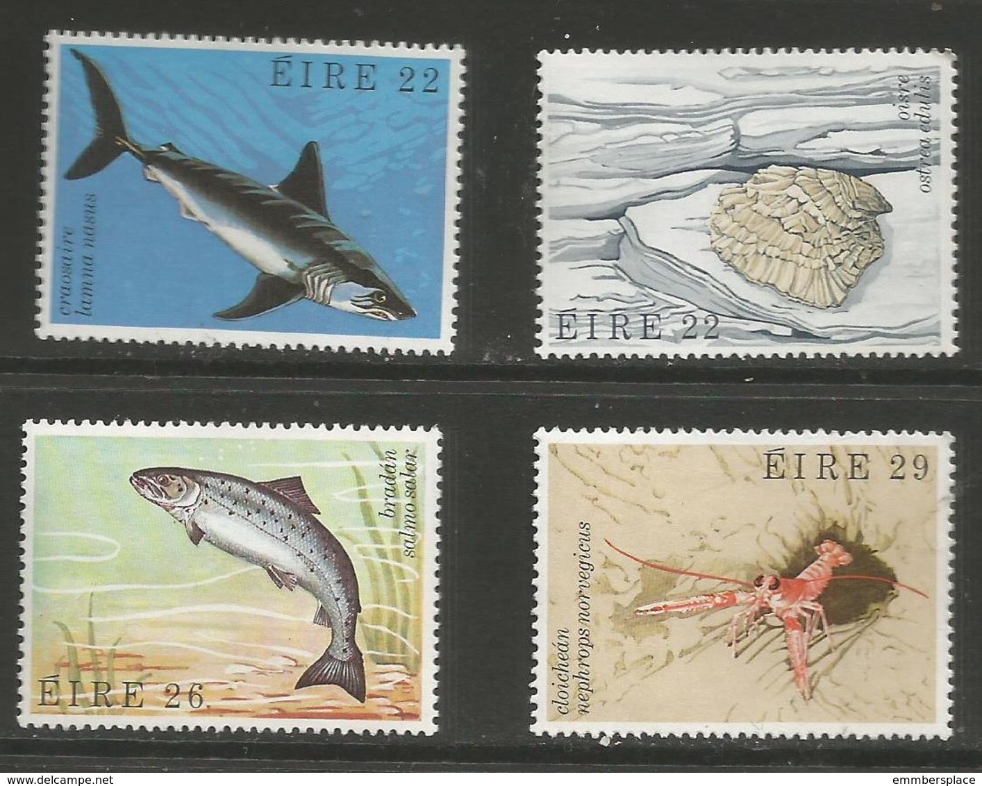 Ireland - 1982 Marine Life MNH **  SG 520-3 - Unused Stamps