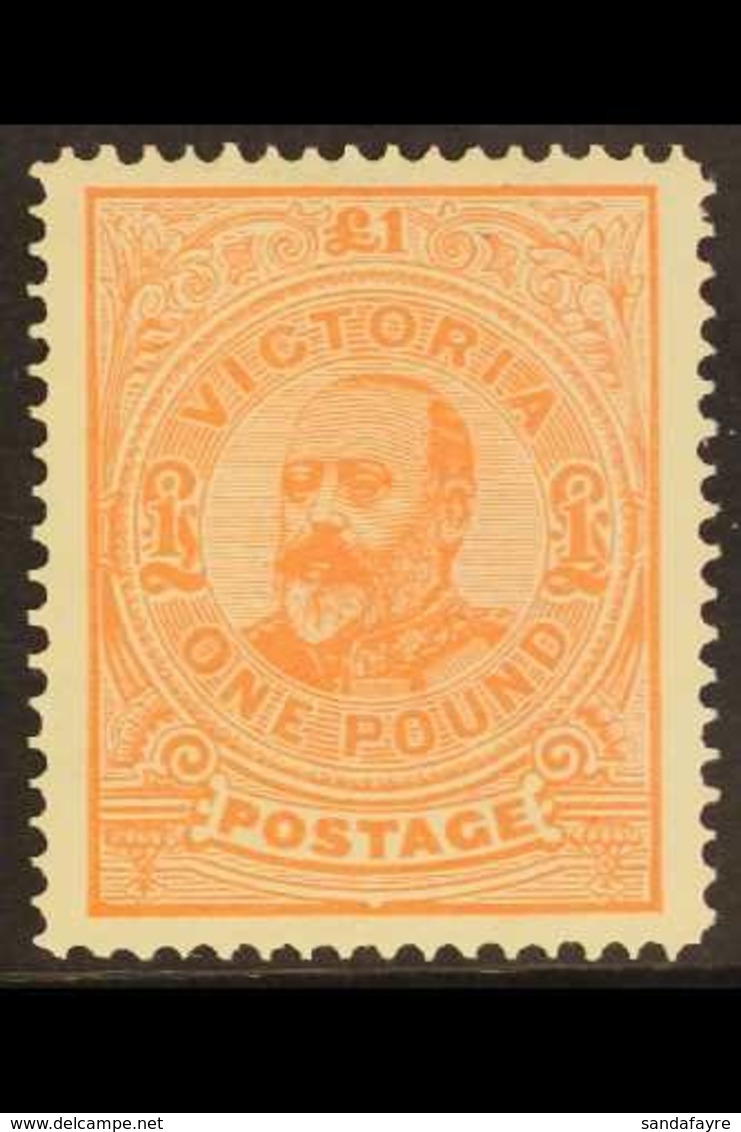 VICTORIA 1905-13 £1 Salmon King Edward VII,  Perf. 12½, SG 431, Superb Mint. For More Images, Please Visit Http://www.sa - Altri & Non Classificati