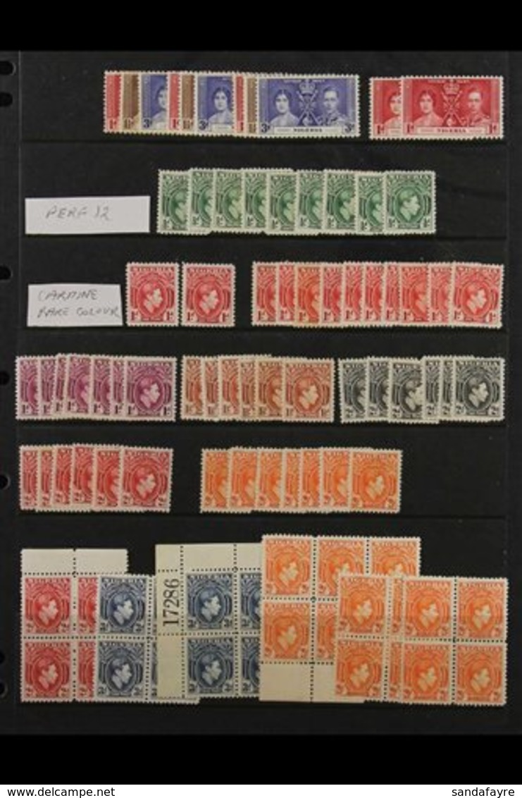 1937-1949 FINE MINT ACCUMULATION On Stock Pages, Includes 1938-41 Sets (at least X3) With Perf Types Incl 1d Carmine (x2 - Nigeria (...-1960)