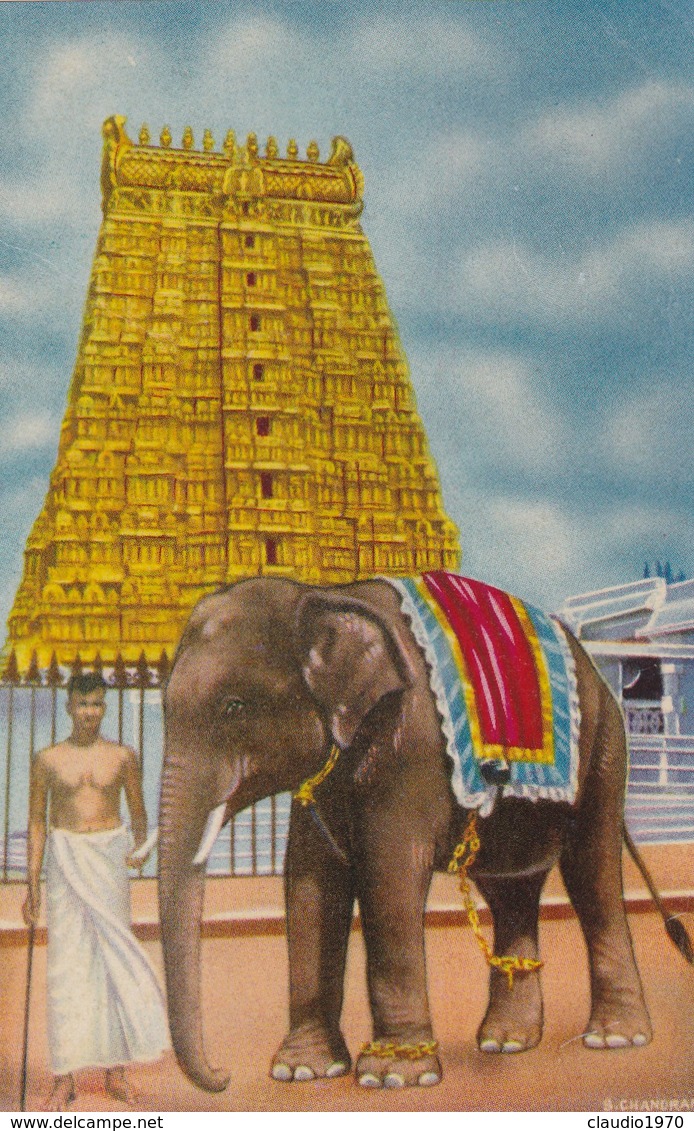 CARTOLINA - POSTCARD - INDIA - EAST TOWER AND TEMPLE ELEPHANT - Inde