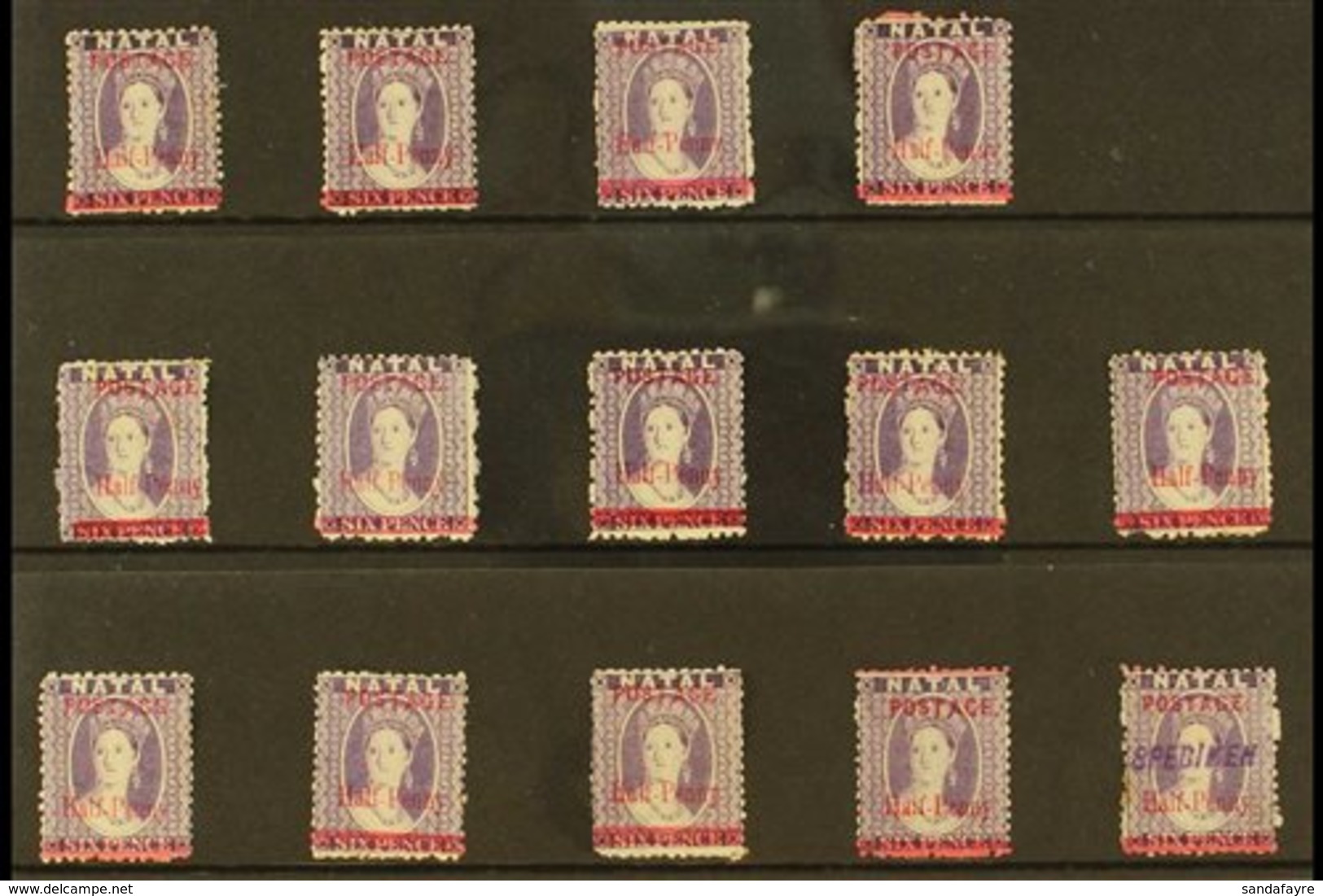 NATAL 1895 MINT SURCHARGED COLLECTION. An All Different Selection Of The ½d On 6d Chalon Issue, A Complete Run Of All Va - Ohne Zuordnung