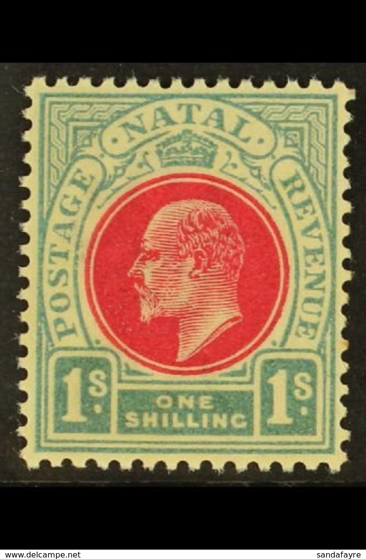 NATAL 1904-8 1s Carmine & Pale Blue, Wmk Mult Crown CA, SG 155, Very Slightly Toned Gum, Otherwise Never Hinged Mint. Fo - Unclassified