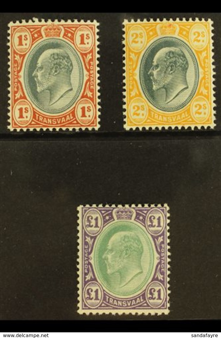 TRANSVAAL 1903 Ed VII Set 1s To £1, Wmk Crown CA, SG 256/8, Very Fine Mint. (3 Stamps) For More Images, Please Visit Htt - Non Classés