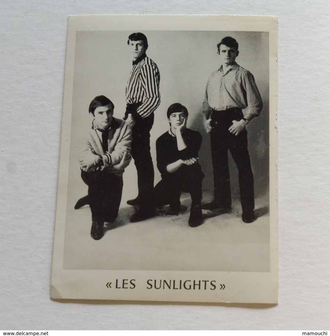 THE SUNLIGHTS - Chanteurs & Musiciens