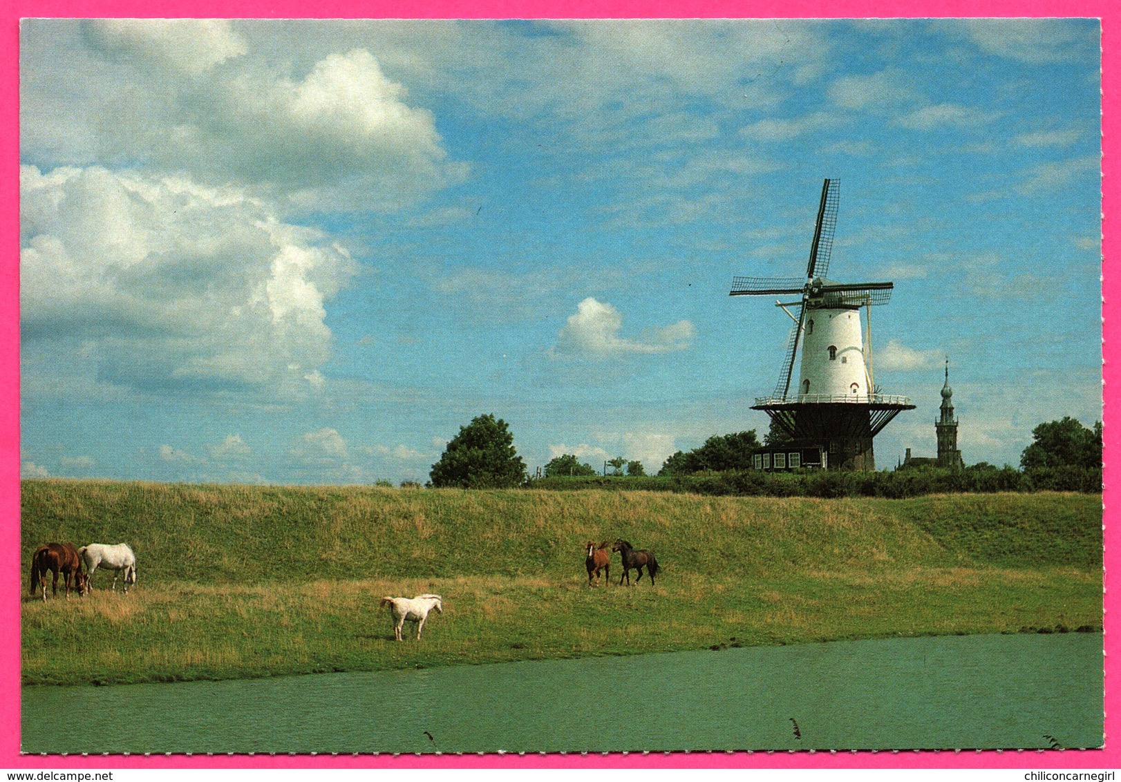 Fraai Landschap Met Molen Bij Veere - Molen - Moulin - Kijk Op Het Groene Nederland - Foto KEES SCHERER - Veere