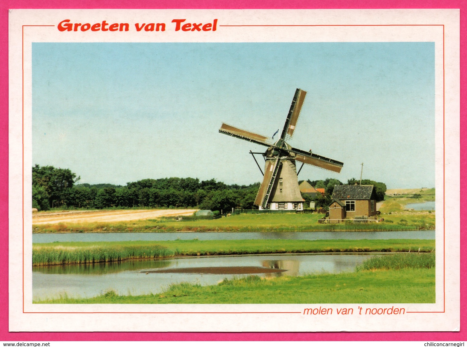 Groeten Van Texel - Molen Van 't Noorden - Moulin - Molen - STUURMAN DRUKWERK SNEEK - Foto KEES KUIP - Texel