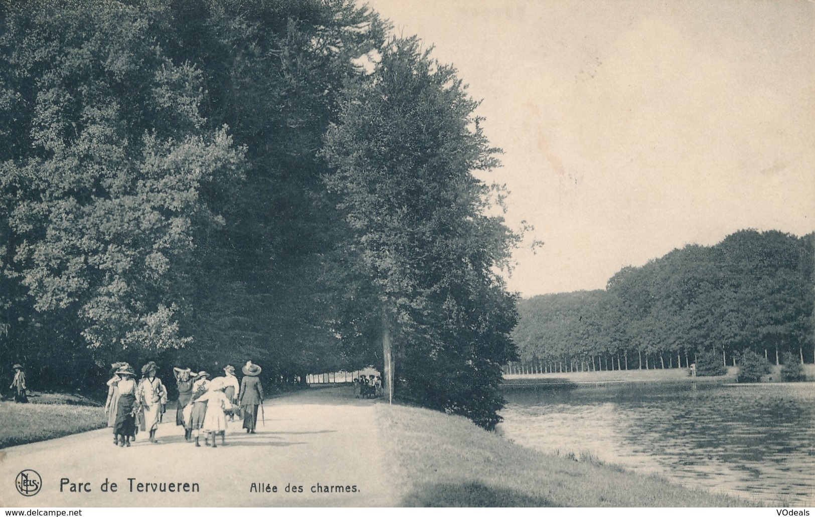 CPA - Belgique - Tervuren - Parc De Tervuren - Allée Des Charmes - Tervuren