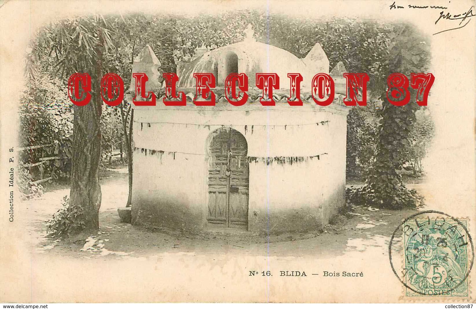 BLIDA < BOIS SACRE - MARABOUT - CARTE VOYAGÉE 1903 - BLIDAH ALGERIE - Blida