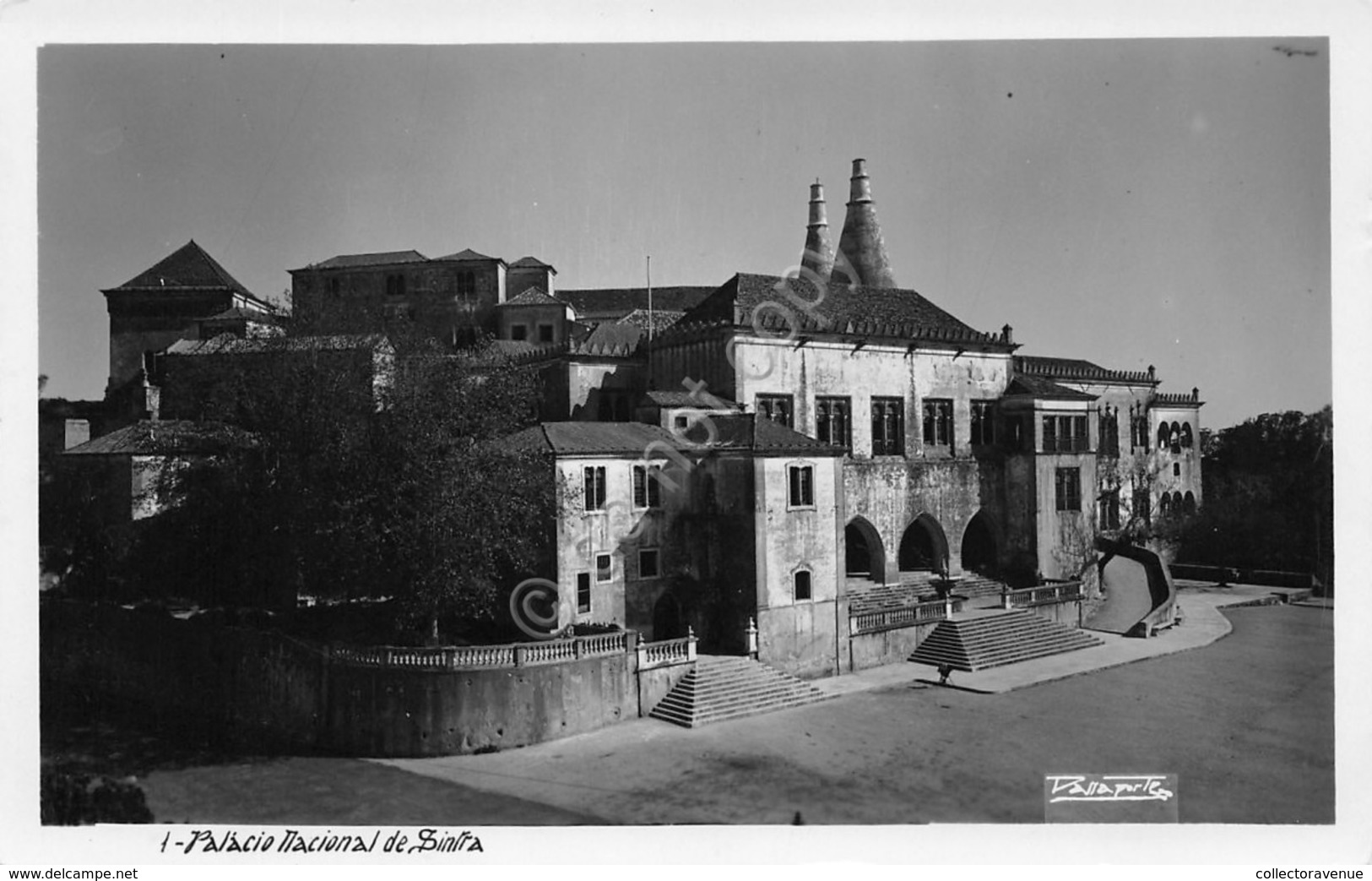 Cartolina Portugal Sintra Palacio Nacional De Sintra - Non Classificati