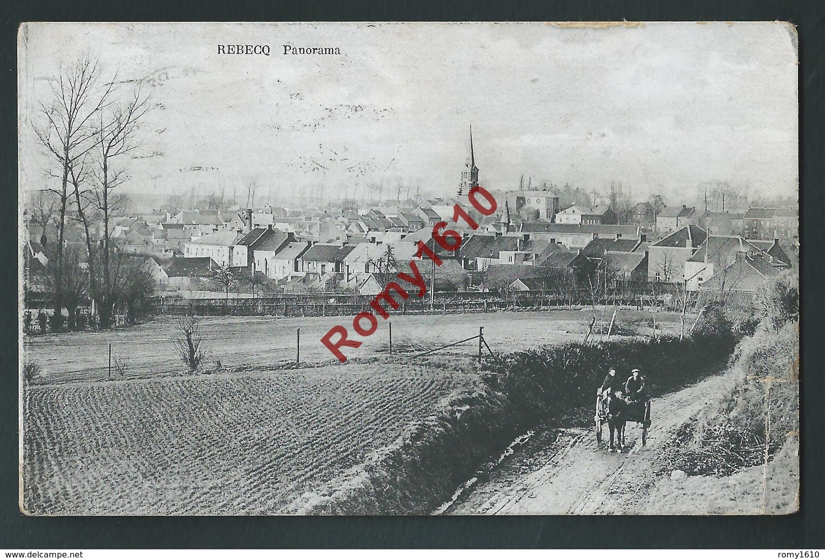 REBECQ. Panorama.  Petit Attelage.  Circulé En 1921.   2 Scans - Rebecq