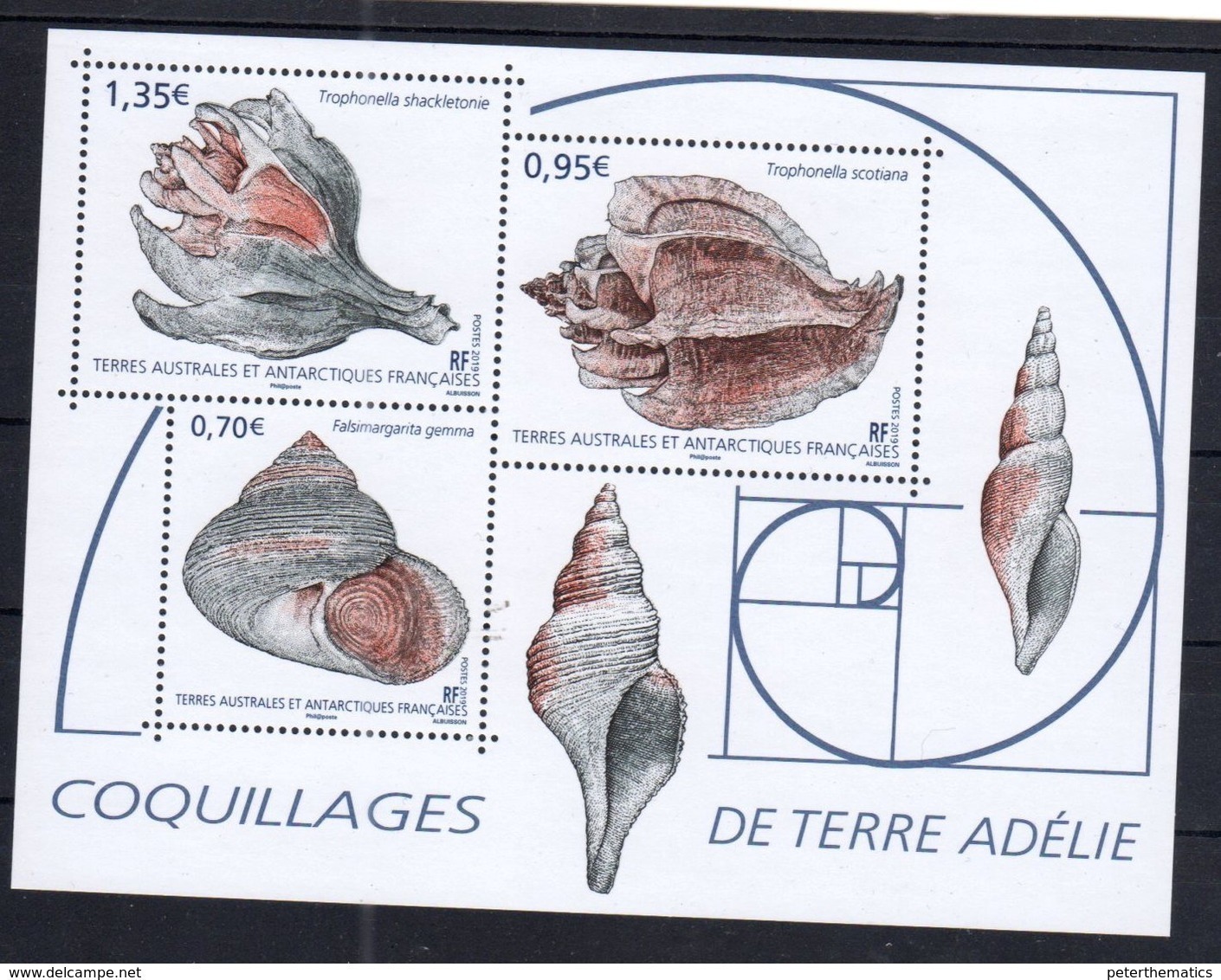 TAAF ,  FRENCH ANTARCTIC, 2019, MNH, SHELLS, SHEETLET - Conchiglie