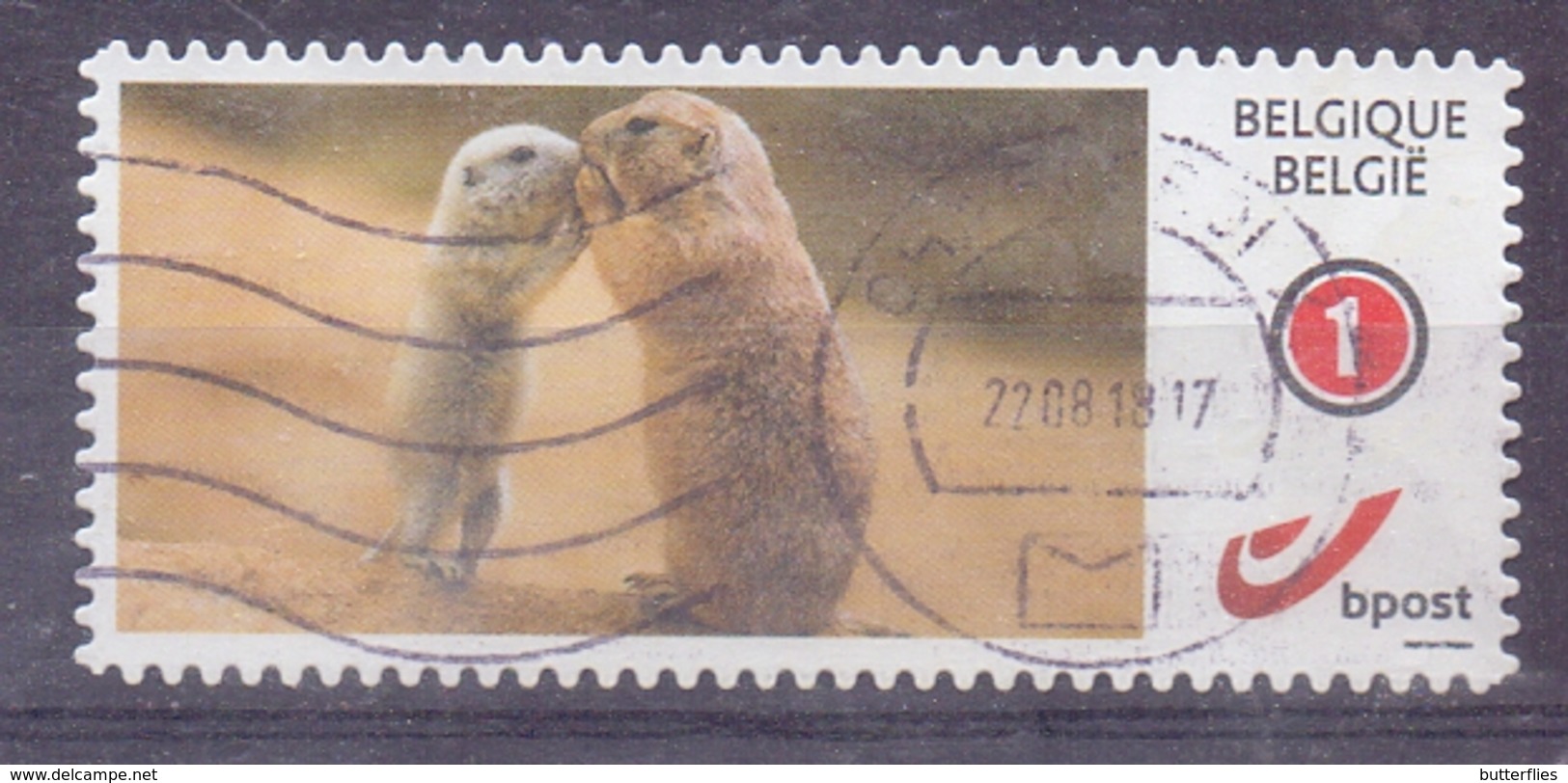 België - Duostamp - Bever - Zonder Papierresten - Oblitérés