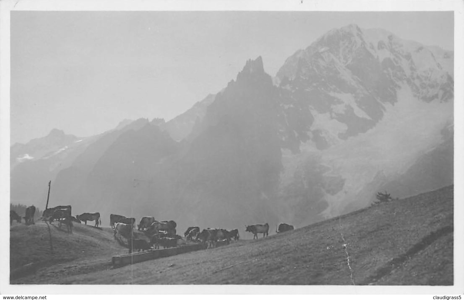 0351 "COURMAYEUR (AO) - PASCOLO SUL M. LA SAXE E MONTE BIANCO" CART. ORIG. NON SPED. - Altri & Non Classificati