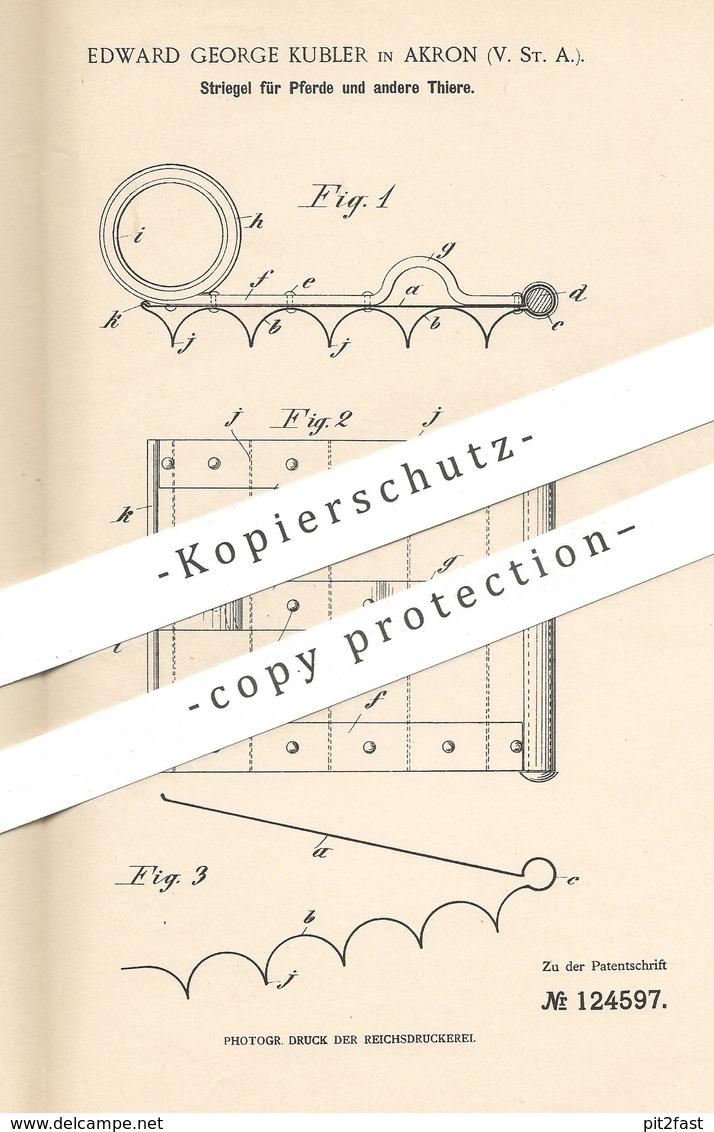 Original Patent - Edward George Kubler , Akron , USA , 1900 | Striegel Für Pferde | Pferd , Tier , Striegeln | Reitsport - Documentos Históricos