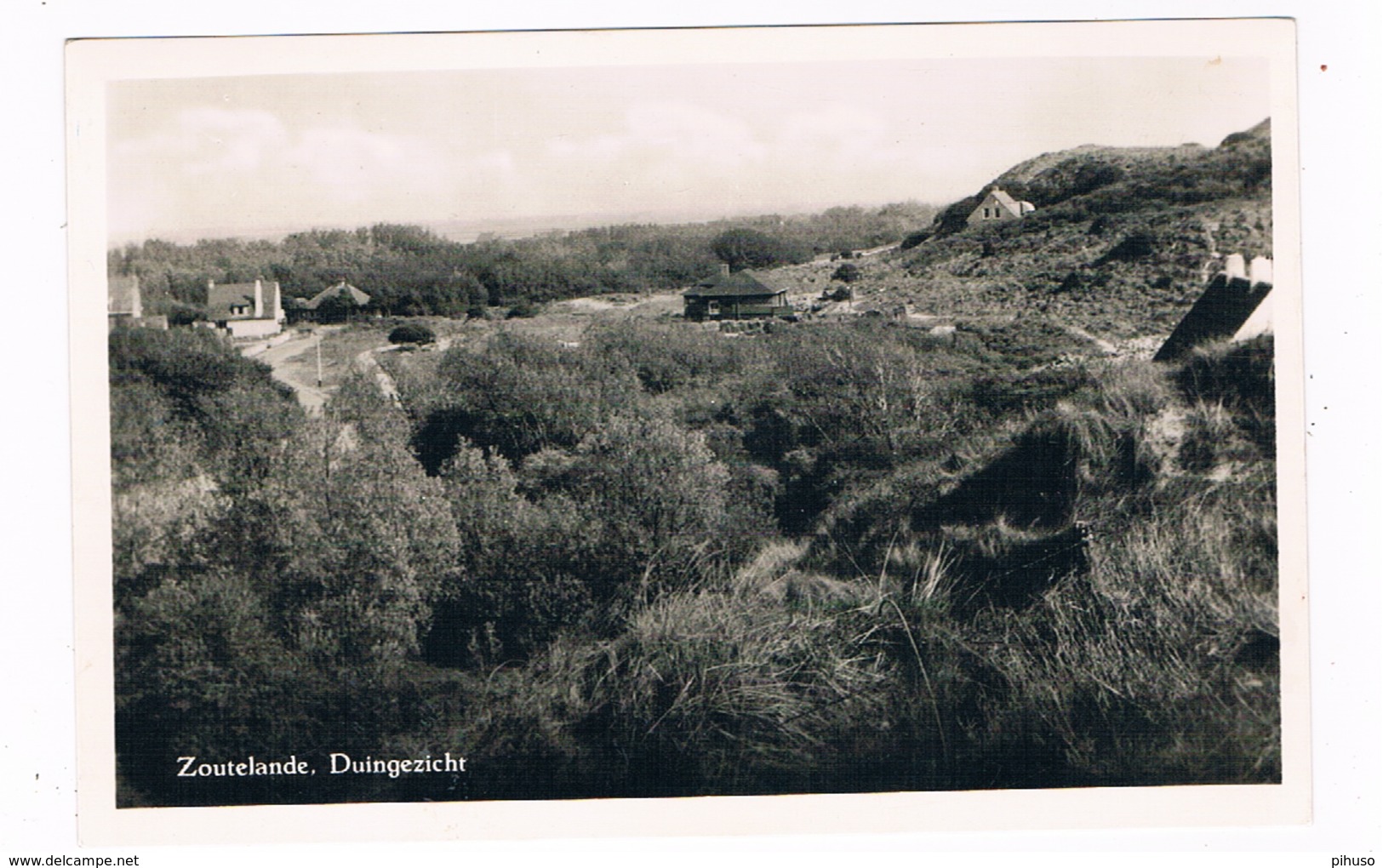 48 / ZOUTELANDE : Duingezicht - Zoutelande