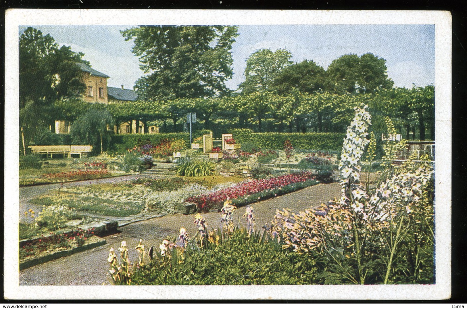 Krefeld Botanischer Garten Im Grüngürtel 1944 Girardet - Krefeld