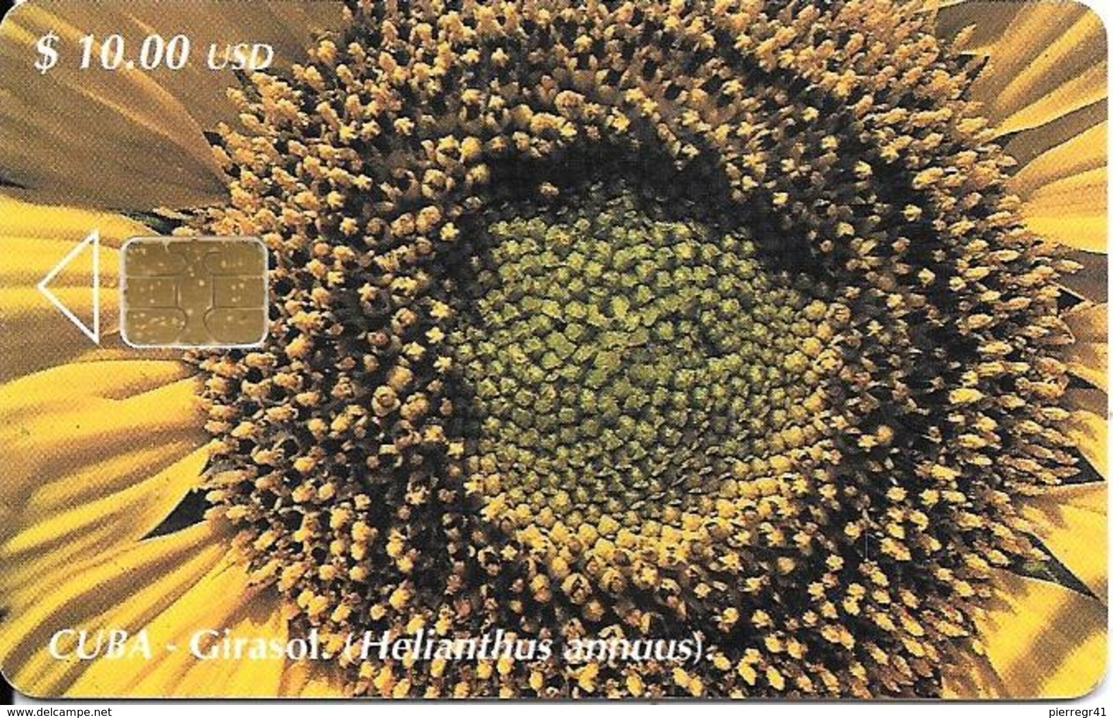 CARTE PUCE-CUBA-ETECSA--10USD -TOURNESOL/Girasol-R°Glacé-UTILISE-TBE-RARE - Fleurs