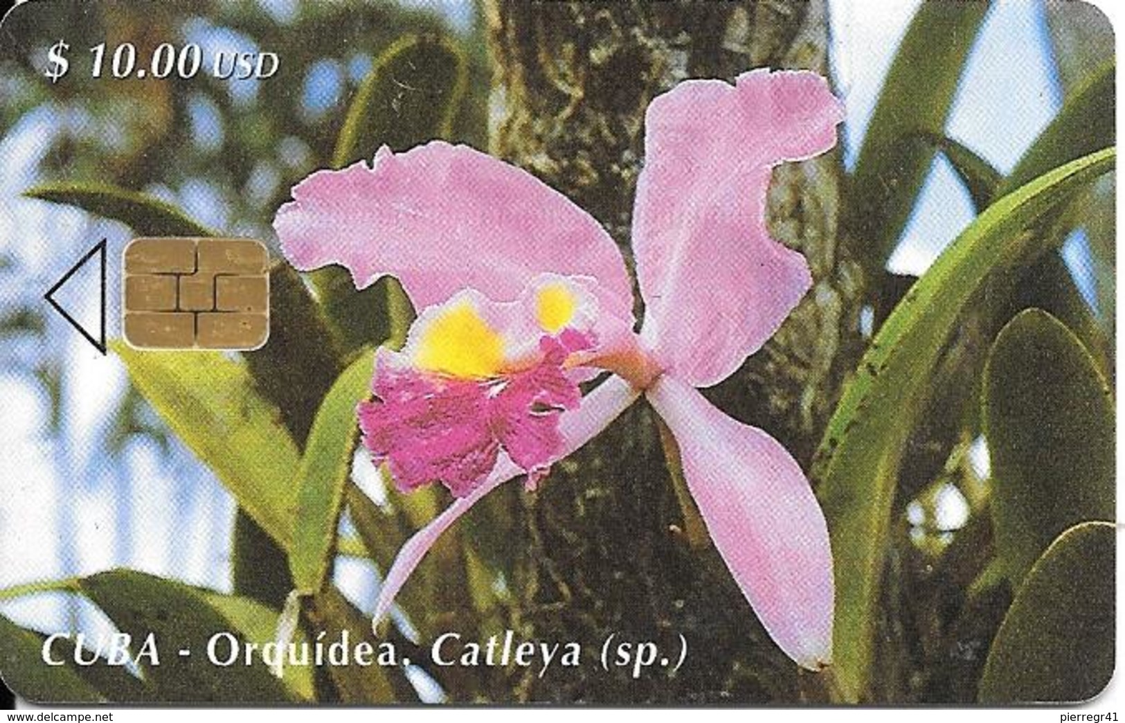 CARTE PUCE-CUBA-ETECSA--10USD -ORQUIDEA-R°Glacé-UTILISE-TBE-RARE - Fleurs