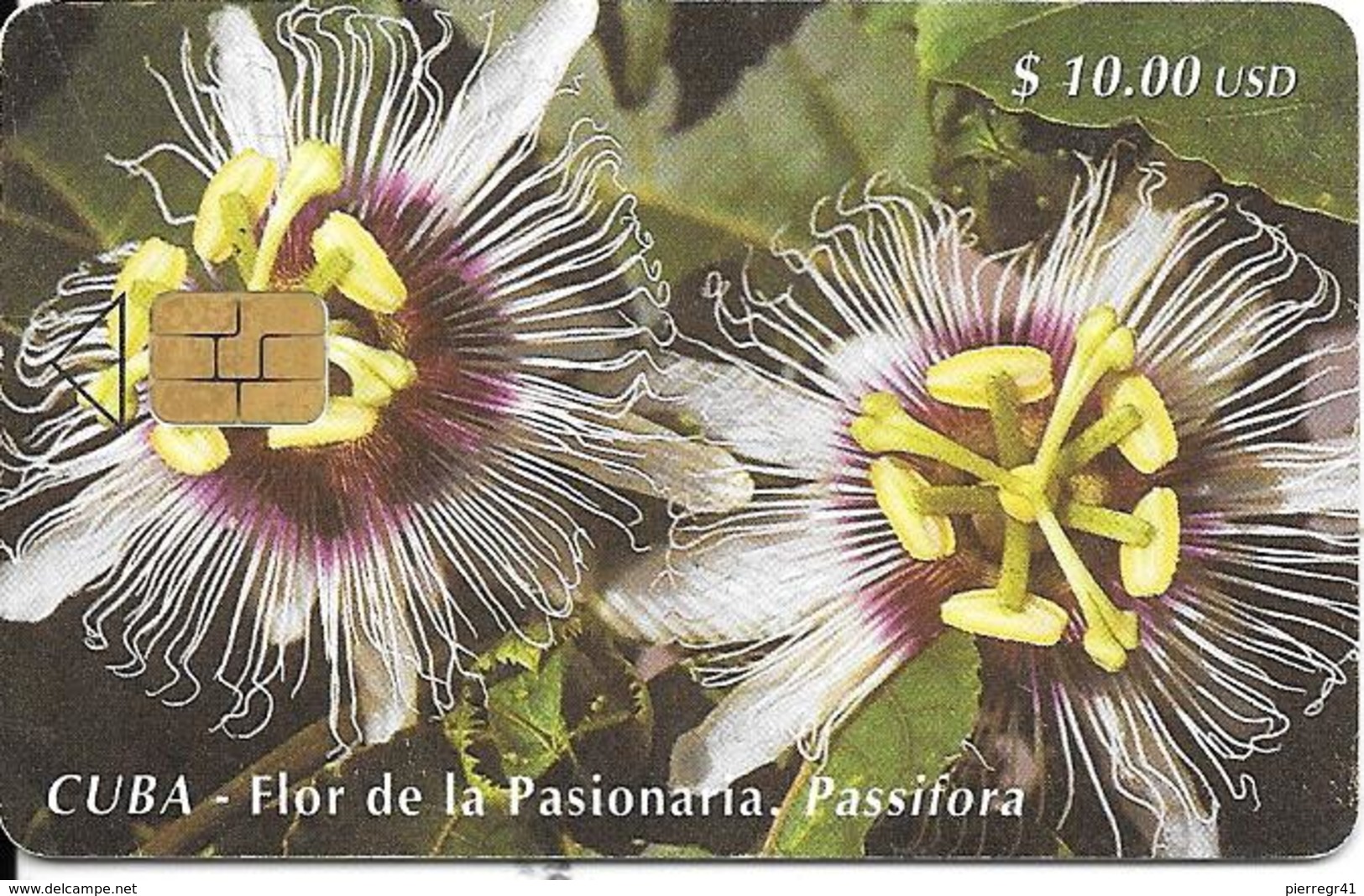 CARTE PUCE-CUBA-ETECSA--10USD -FLOR De La Pasionaria-R°Glacé-UTILISE-TBE-RARE - Fleurs