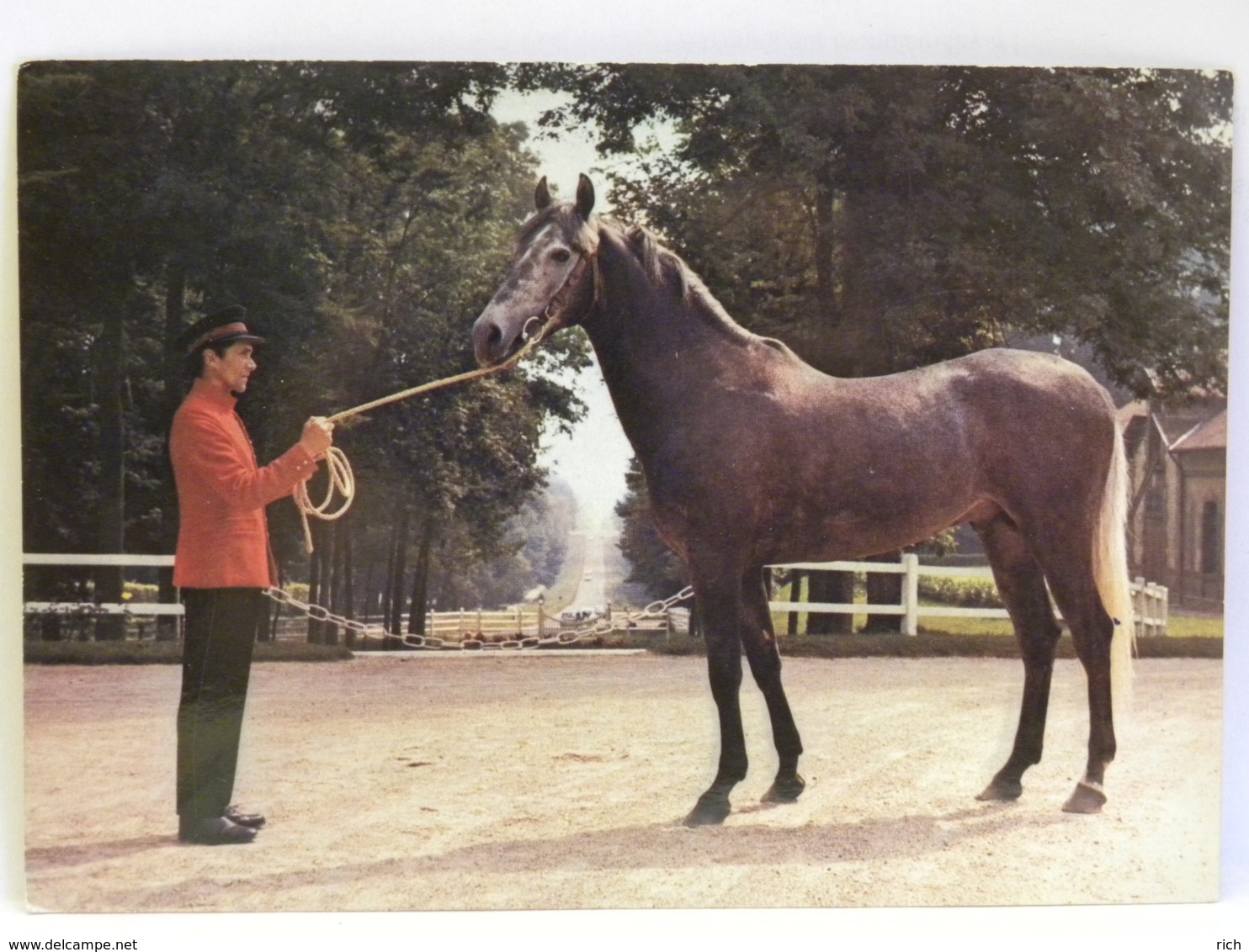 CPM (61) Orne - EXMES - Le Haras Du Pin - Le Pin Au Haras "Ouassal" - Exmes