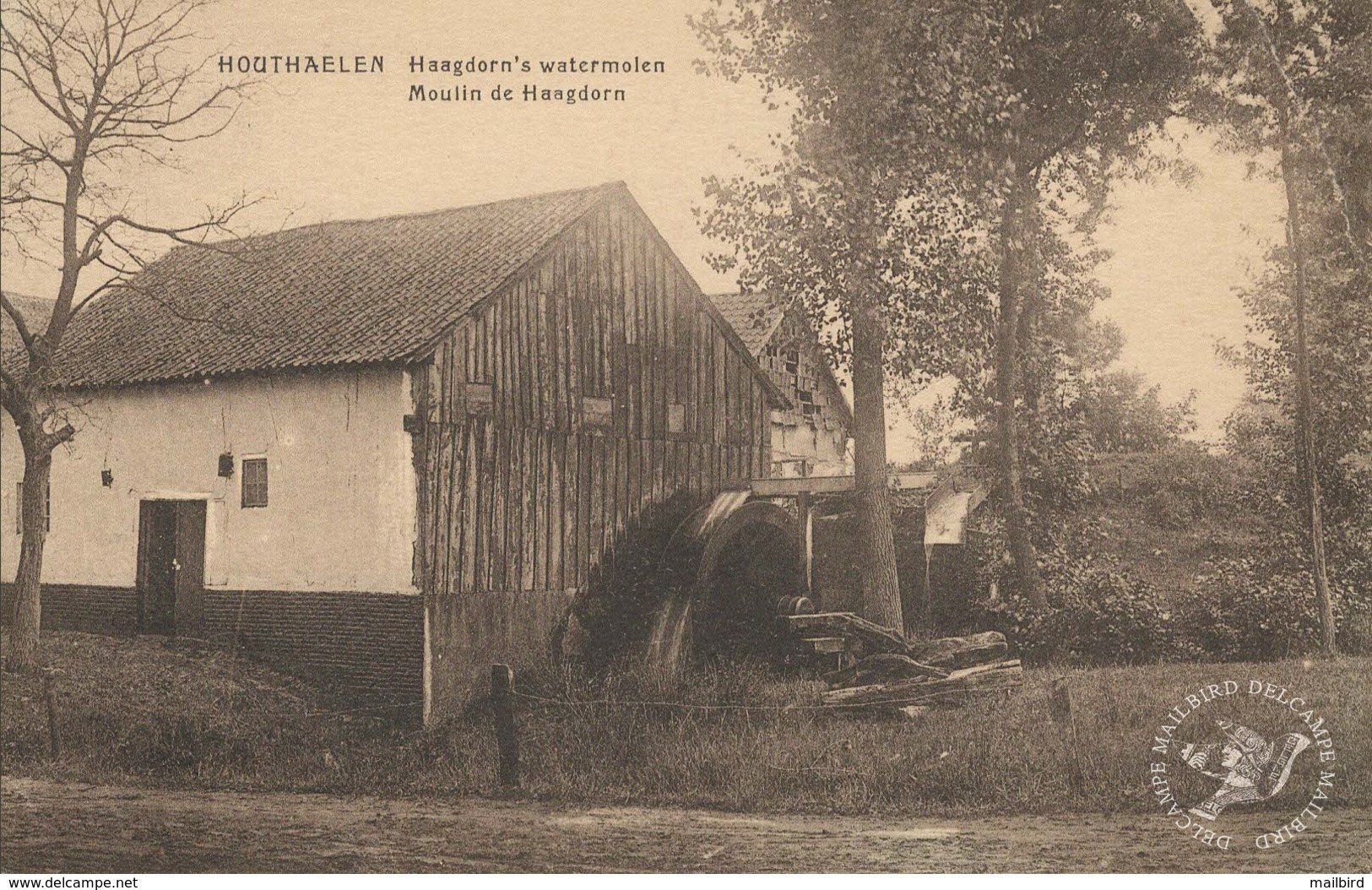 Houthaelen - Haagdorn's Watermolen - Moulin De Haagdorn - Houthalen-Helchteren