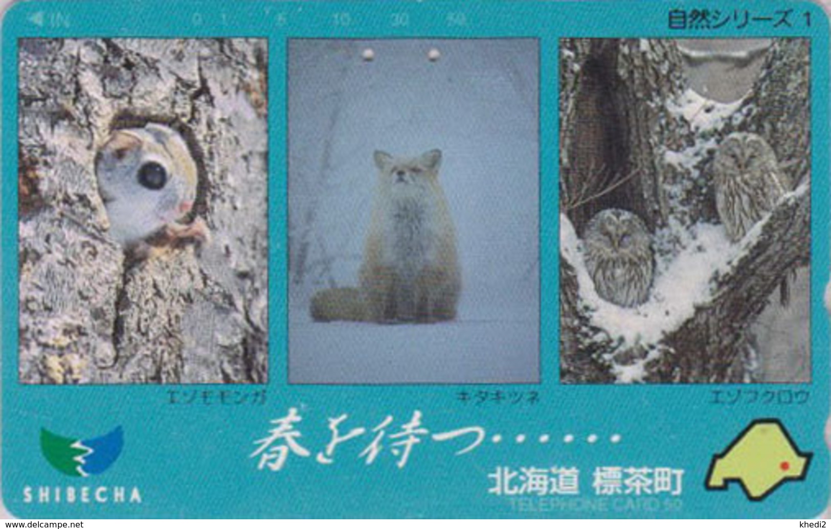 Télécarte Japon / 430-13443 - ANIMAL - Oiseau HIBOU RENARD & CHINCHILLA - OWL Bird FOX  Japan Phonecard - 4279 - Owls