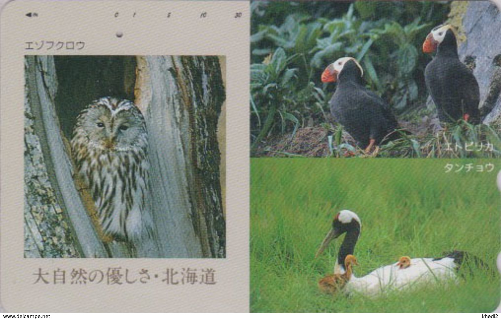 Télécarte Japon / 430-7412 - ANIMAL - Oiseau HIBOU GRUE & MACAREUX - OWL CRANE & PUFFIN BIRD Japan Phonecard - 4280 - Hiboux & Chouettes