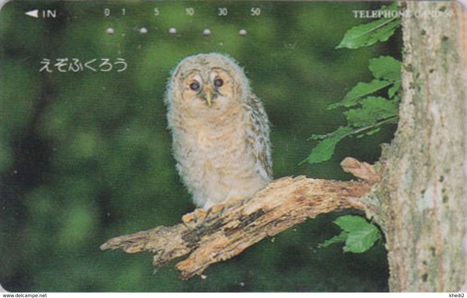 RARE Télécarte Japon / 430-12836 - ANIMAL - Oiseau HIBOU CHOUETTE - OWL BIRD Japan Phonecard - EULE - 4281 - Gufi E Civette