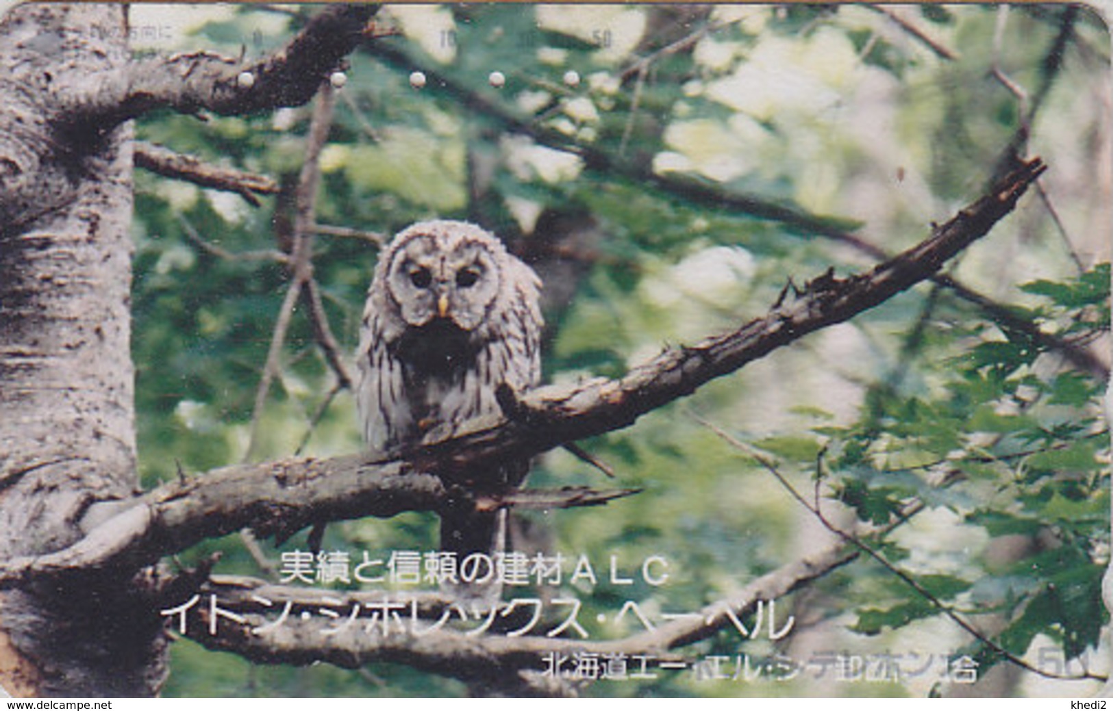 Télécarte Japon / 110-011 - ANIMAL - OISEAU - HIBOU CHOUETTE HULOTTE - OWL BIRD Japan Phonecard - EULE TK - 4283 - Gufi E Civette