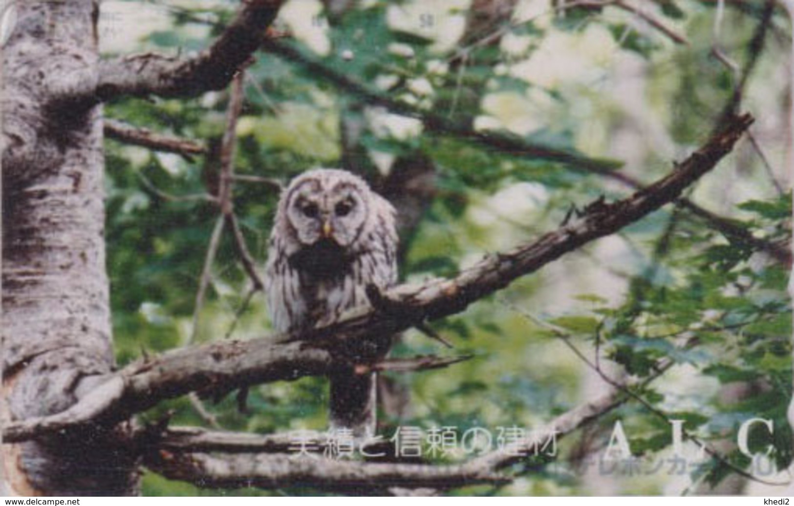 Télécarte Japon / 110-011 - ANIMAL - OISEAU - HIBOU CHOUETTE HULOTTE - OWL BIRD Japan Phonecard - EULE TK - 4284 - Hiboux & Chouettes